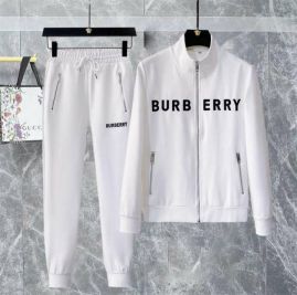 Picture of Burberry SweatSuits _SKUBurberryM-4XL12yn0627475